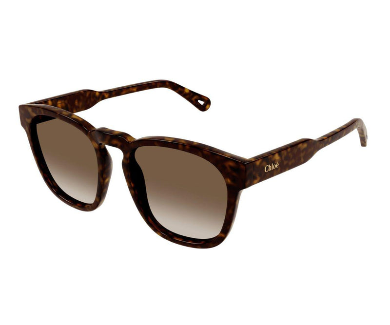 Chloe_Sunglasses_0160S_002_54_45