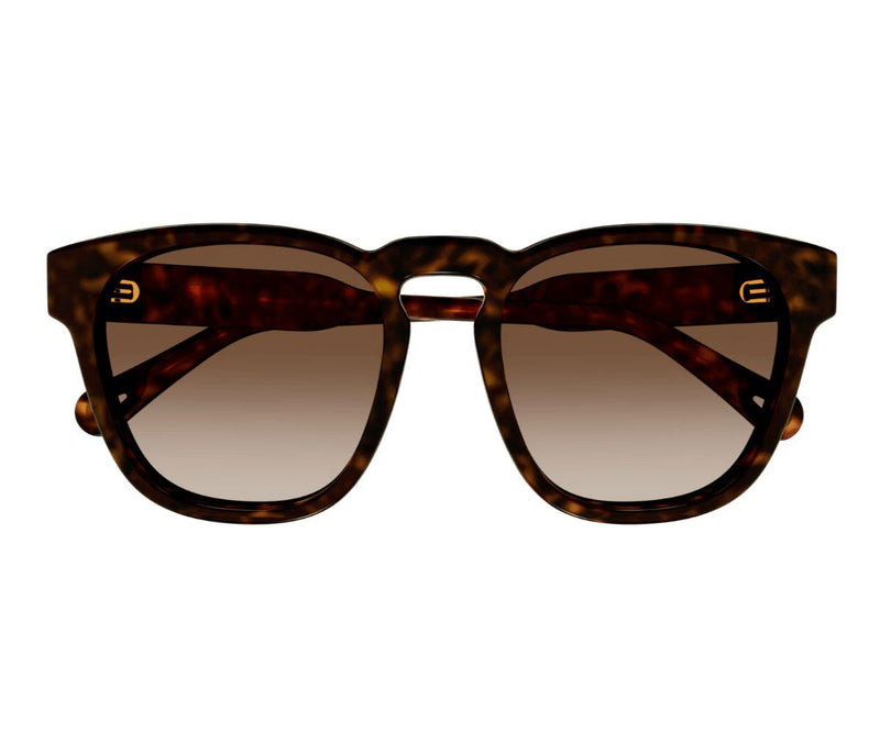 Chloe_Sunglasses_0160S_002_54_0