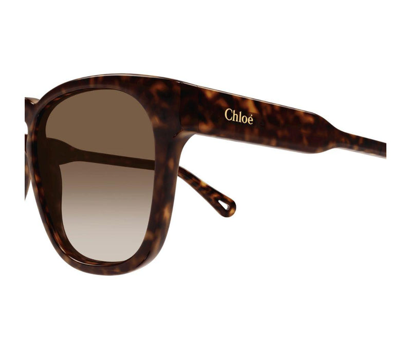 Chloe_Sunglasses_0160S_002_54_90