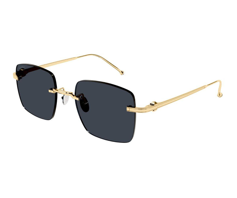 Cartier_Sunglasses_0403S_002_52_45