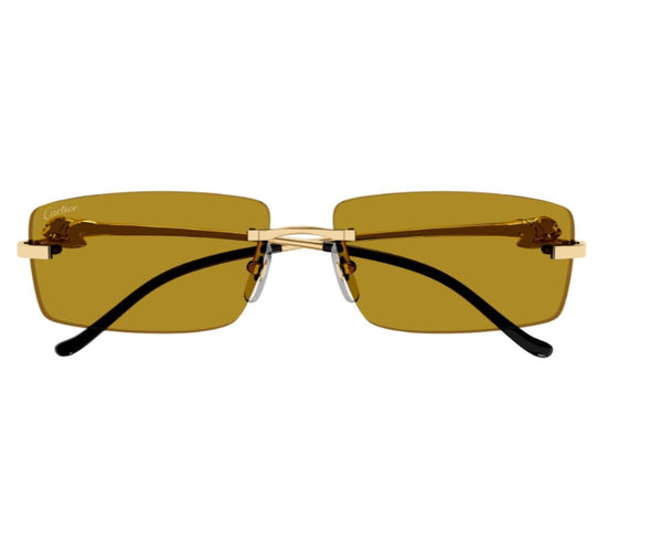 Cartier_Sunglasses_0430S_003_58_0