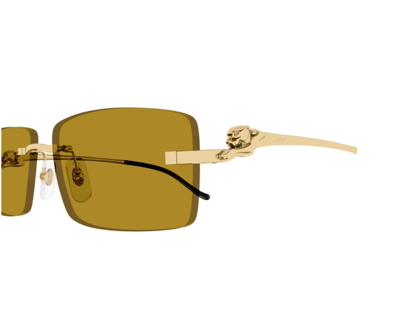 Cartier_Sunglasses_0430S_003_58_close up image