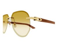 Cartier_Sunglasses_0440S_004_61_Close up view 3