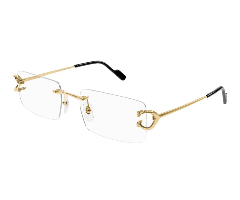 Cartier_Glasses_0488O_001_46_30