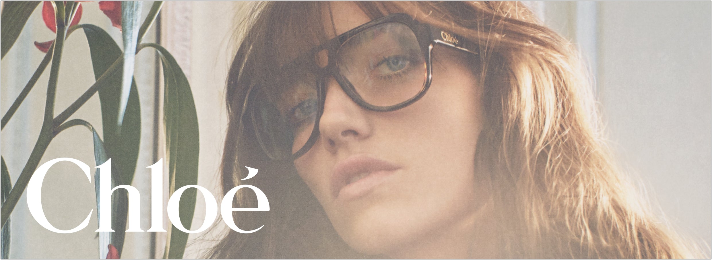 Buy Chloe Sunglasses & Optical Frames Online | GEM OPTICIANS – GEM