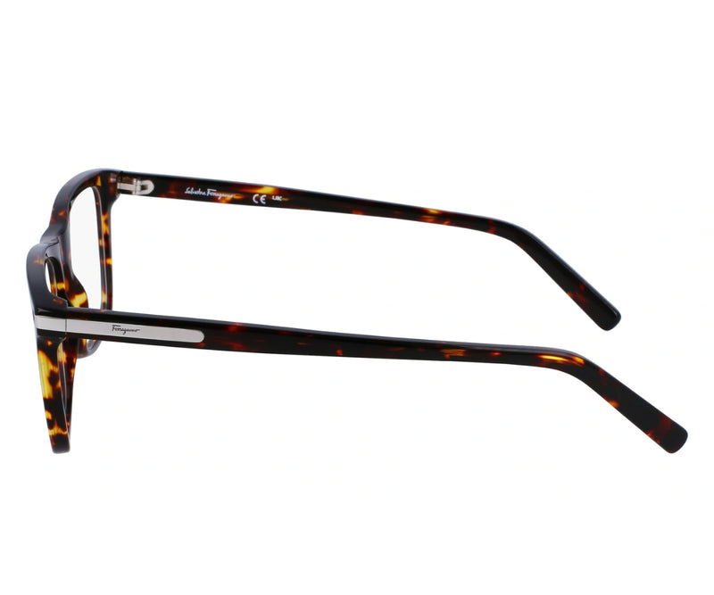 Ferragamo_Glasses_2959_219_55_90