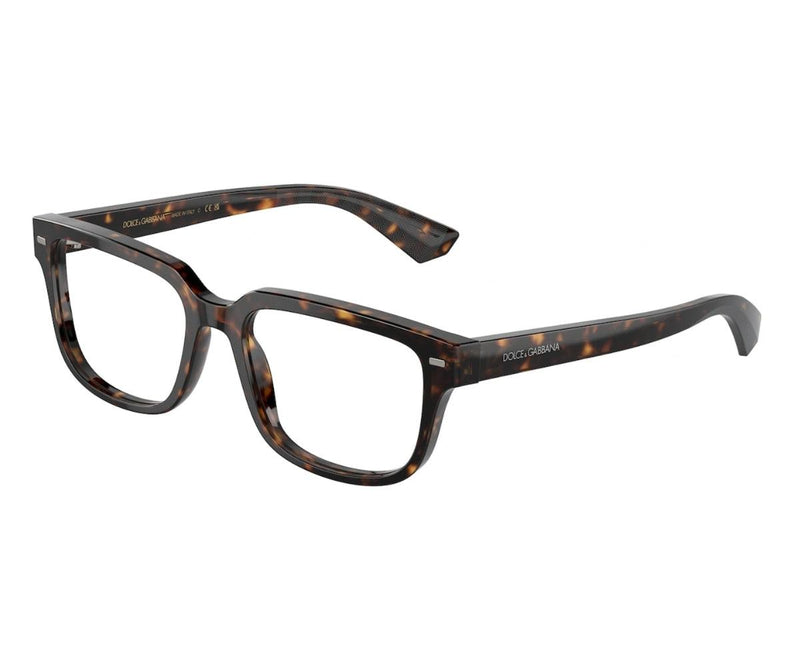 Dolce & Gabbana_Glasses_3380_502_52_30