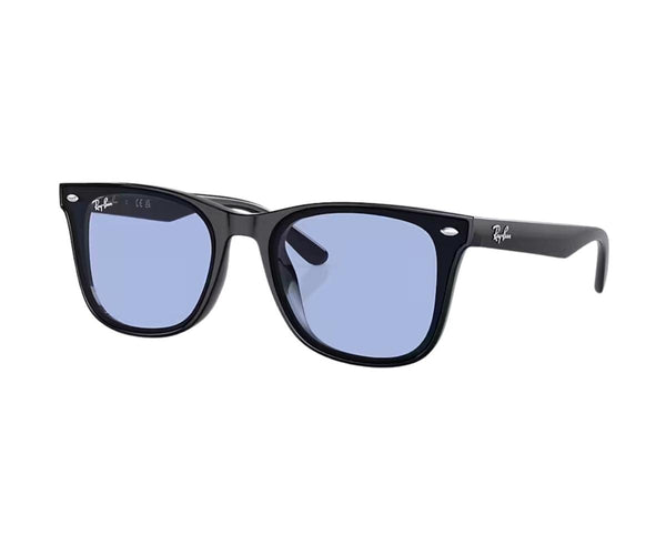 Rayban_Sunglasses_4420_601/80_65_30