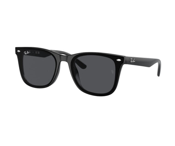 Rayban_Sunglasses_4420_601/87_65_30