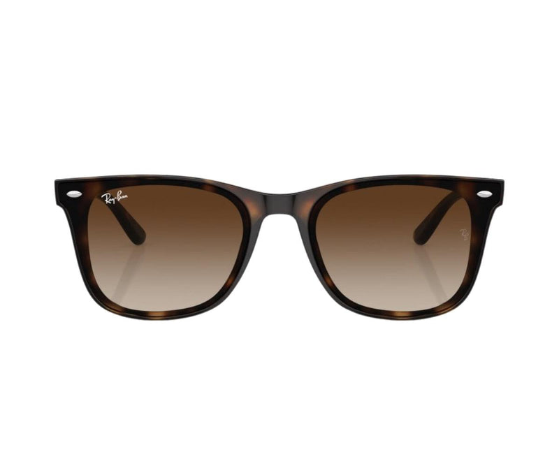 Rayban_Sunglasses_4420_710/13_65_0