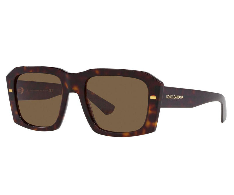 Dolce & Gabbana_Sunglasses_4430_502/73_54_45