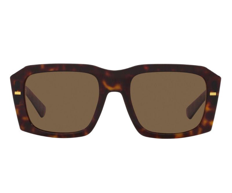 Dolce & Gabbana_Sunglasses_4430_502/73_54_0