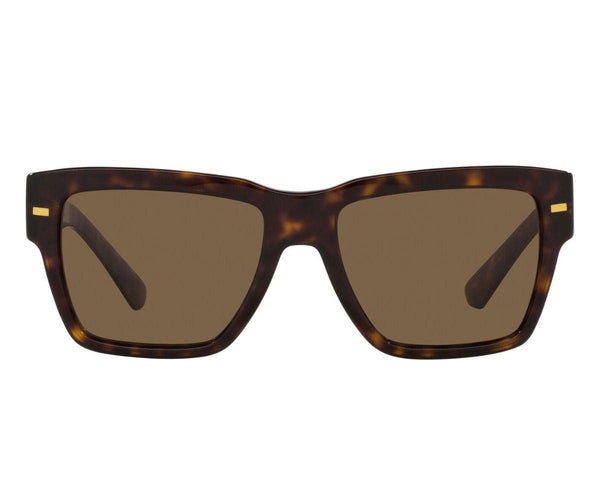 Dolce & Gabbana_Sunglasses_4431_502/73_55_0