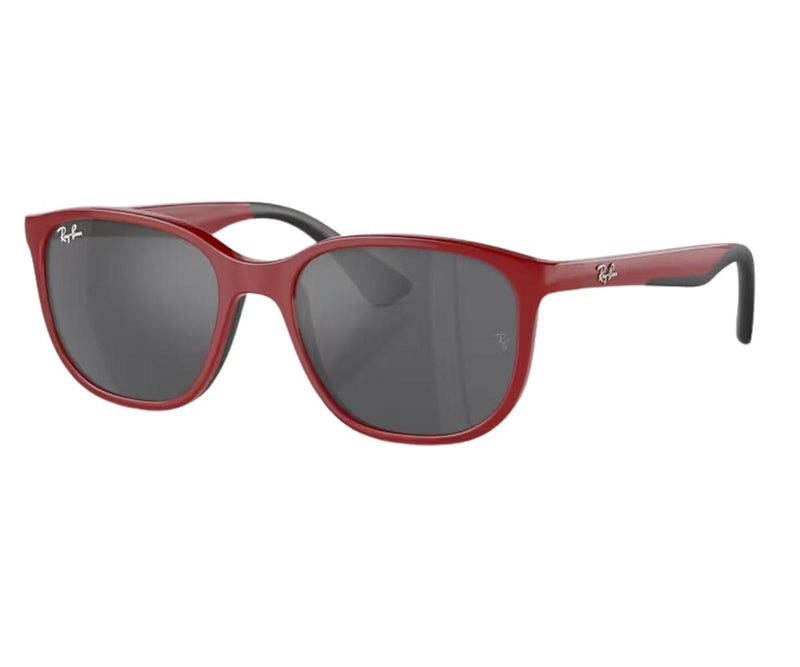 Rayban_Sunglasses_9078S_7150/6G_48_30