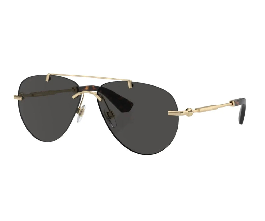 Buy Burberry Sunglasses 3151 1109 87 60 GEM OPTICIANS GEM Opticians