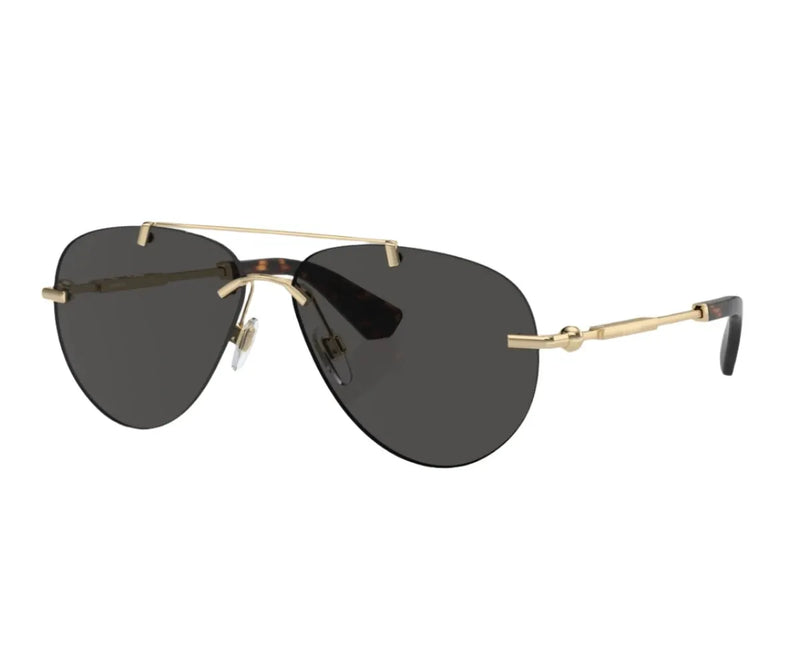 Burberry_Sunglasses_3151_1109/87_60_45