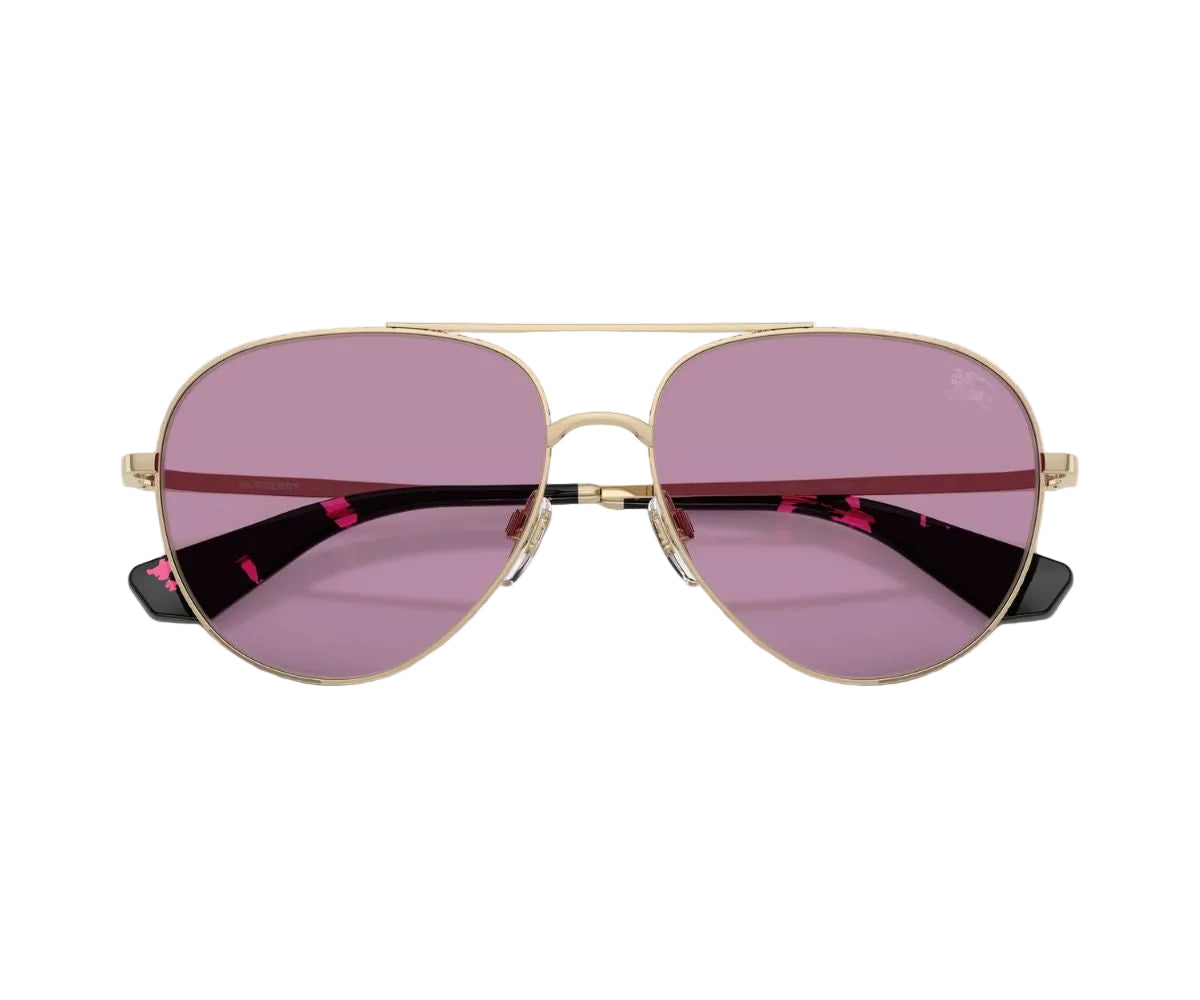 Burberry_Sunglasses_3172_1109/69_59_00