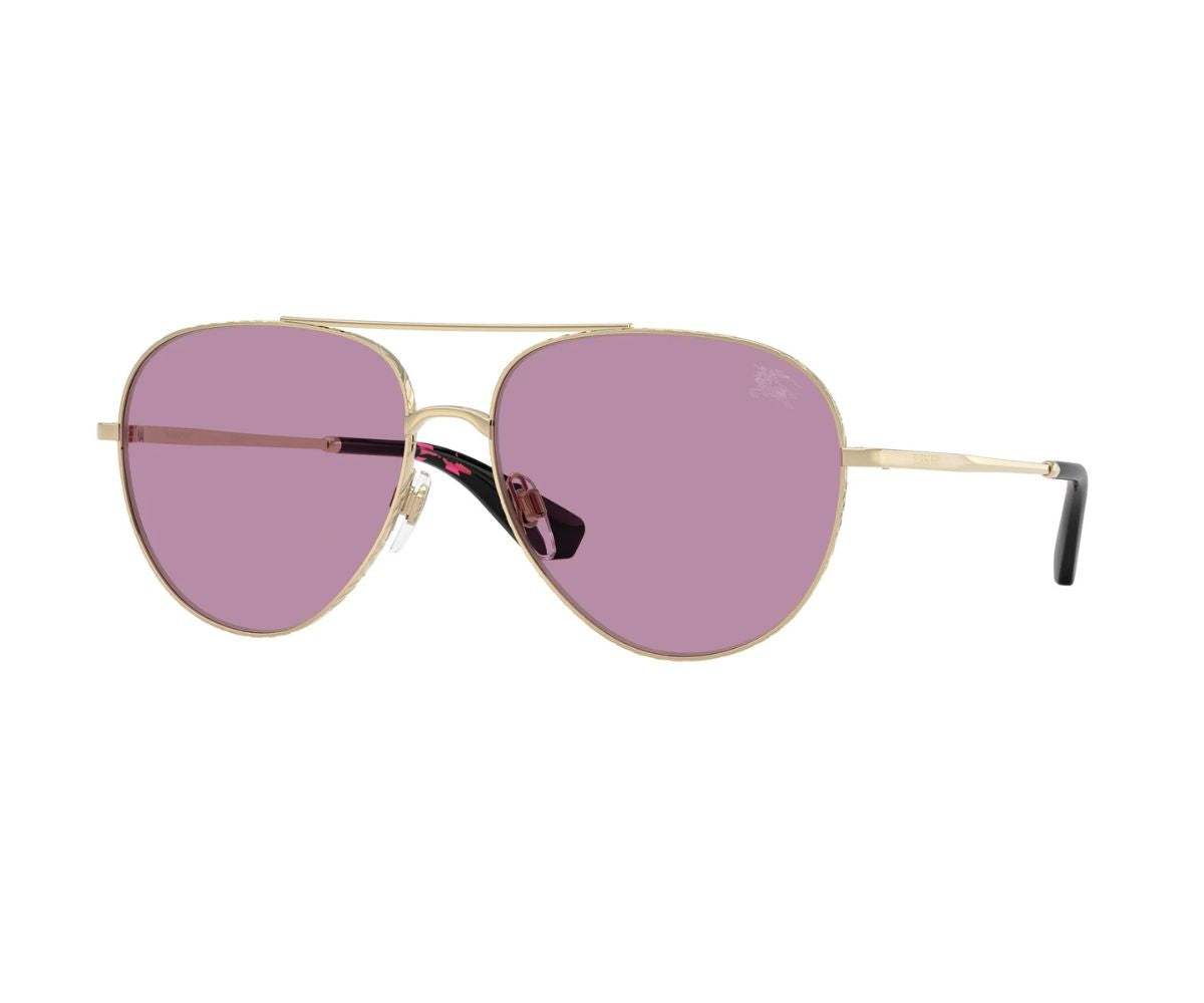 Burberry_Sunglasses_3172_1109/69_59_45