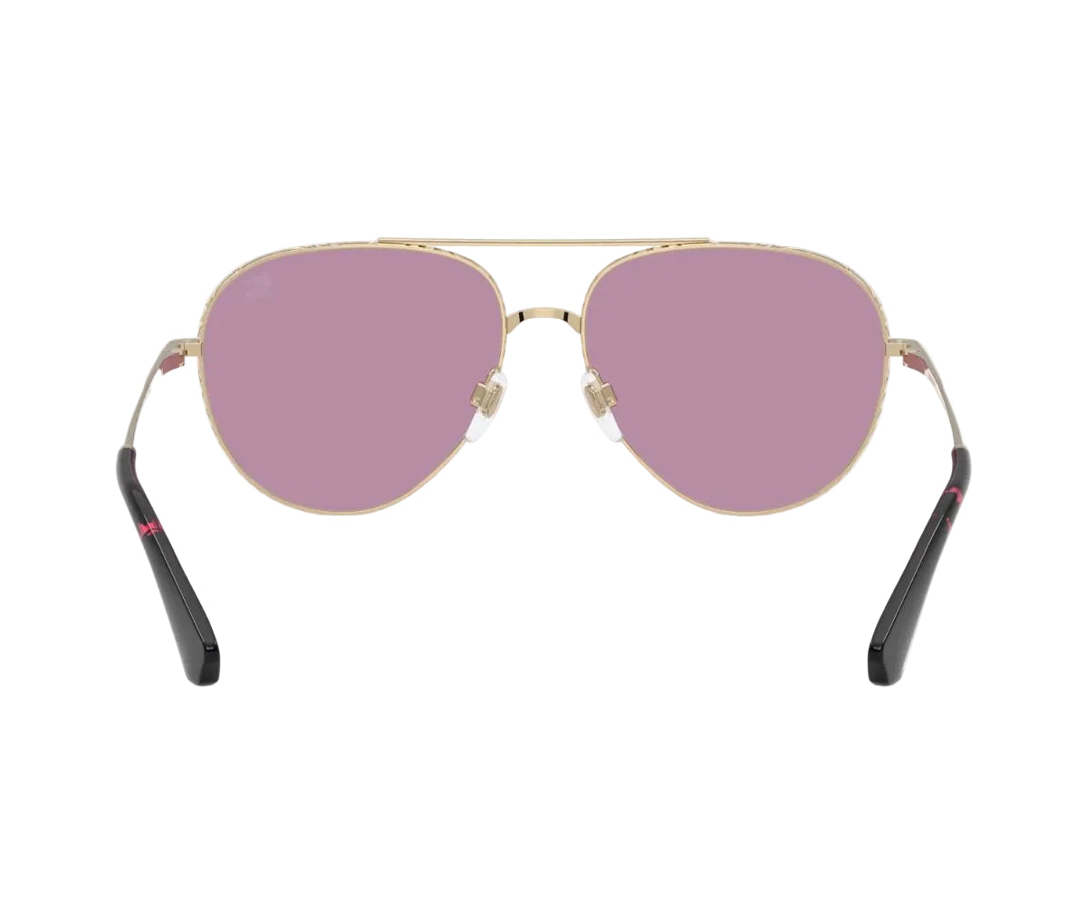 Burberry_Sunglasses_3172_1109/69_59_backlens