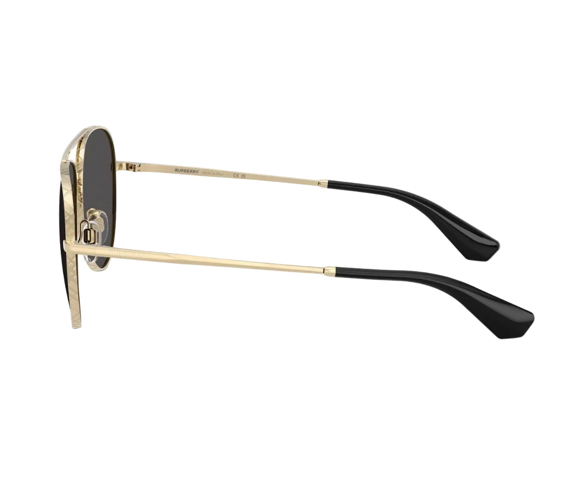 Burberry_Sunglasses_3172_1109/87_59_90