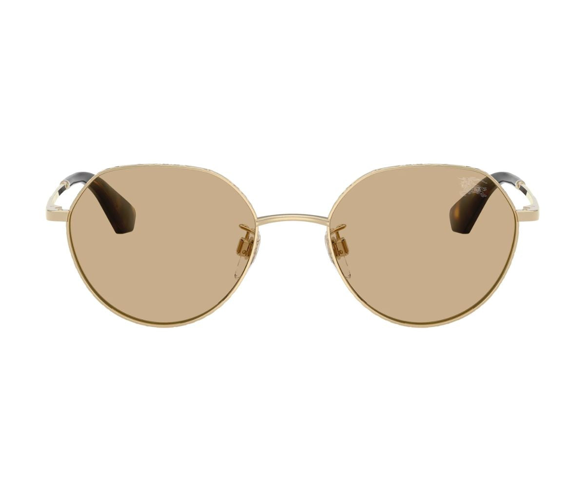 Burberry_Sunglasses_3173D_1109/73_51_0