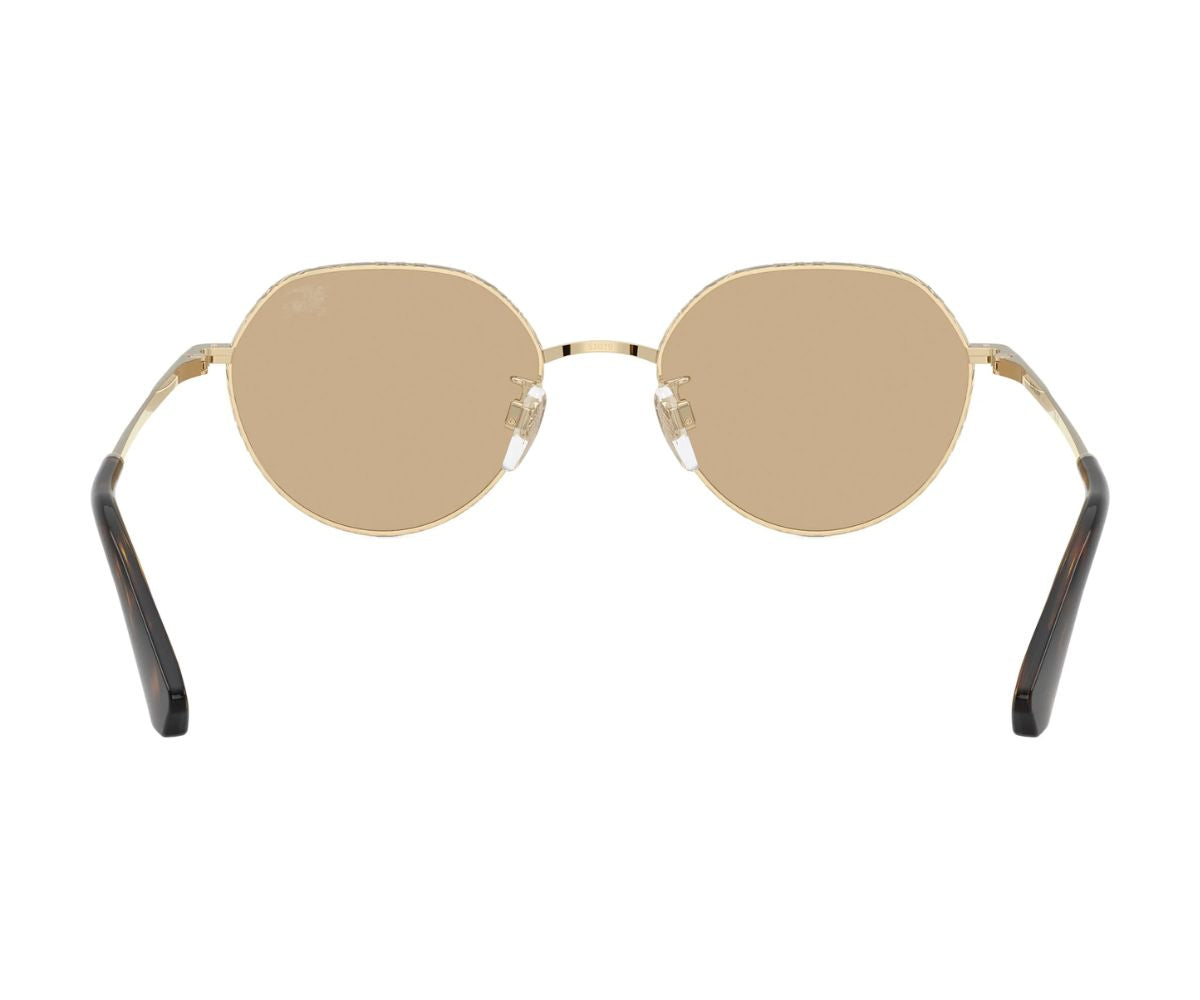 Burberry_Sunglasses_3173D_1109/73_51_back lens