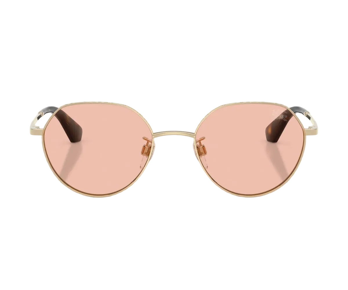 Burberry_Sunglasses_3173D_1109/84_51_0