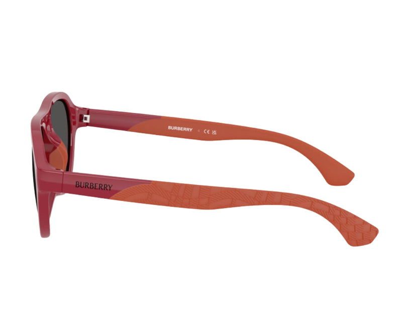 Burberry_Sunglasses_4005U_4181/87_51_90