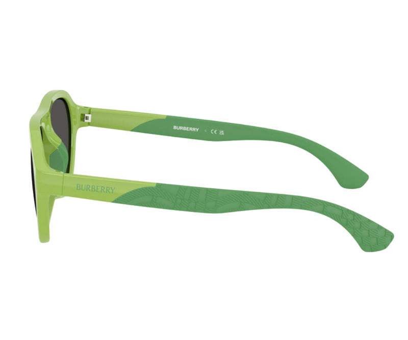 Burberry_Sunglasses_4005U_4182/87_51_90