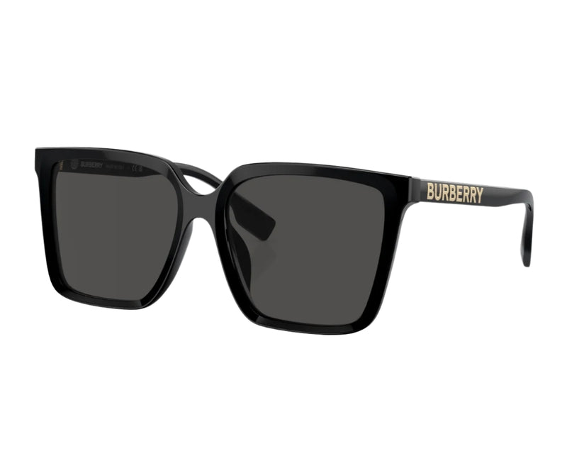 Burberry_Sunglasses_4411D_3001/87_57_3045