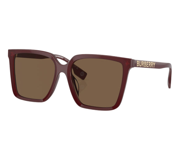 Burberry_Sunglasses_4411D_4022/73_57_3045