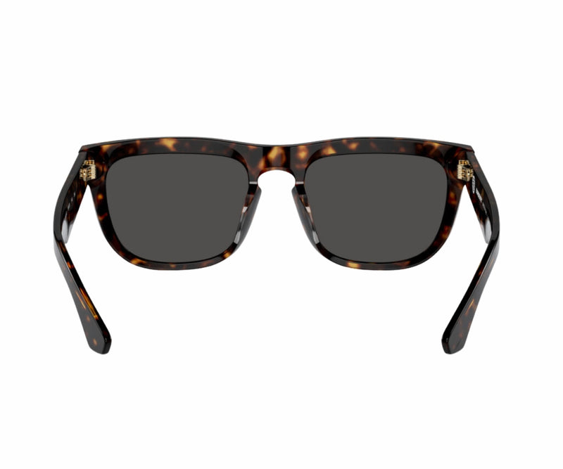 Burberry_Sunglasses_4431U_3002/87_56_back lens