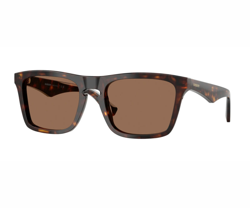 Burberry_Sunglasses_4434_3002/73_57_3045