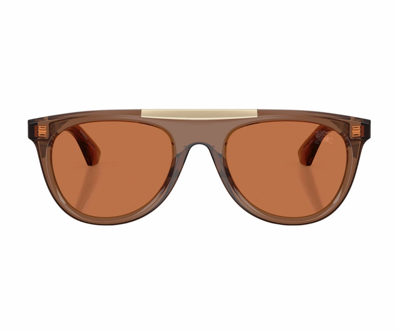 Burberry_Sunglasses_4452U_4173/73_53_0