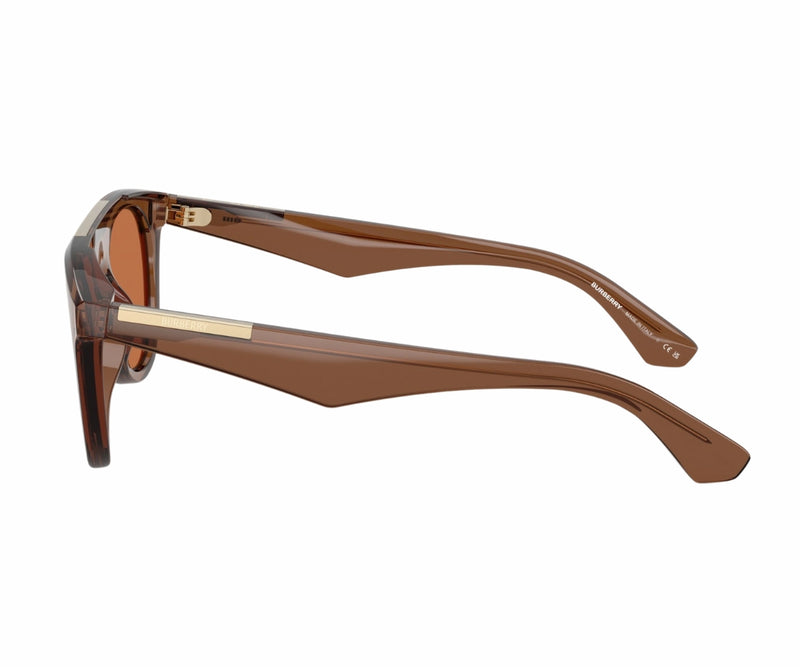 Burberry_Sunglasses_4452U_4173/73_53_90
