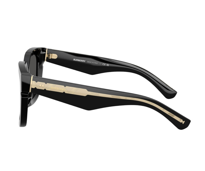 Burberry_Sunglasses_4453_3001/87_54_90