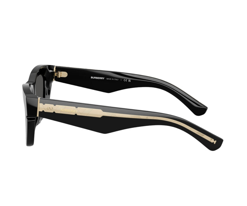 Burberry_Sunglasses_4454_3001/87_52_90