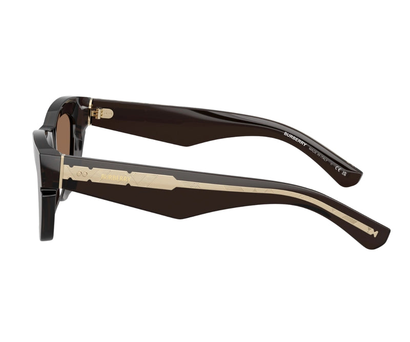 Burberry_Sunglasses_4454_4116/73_52_90