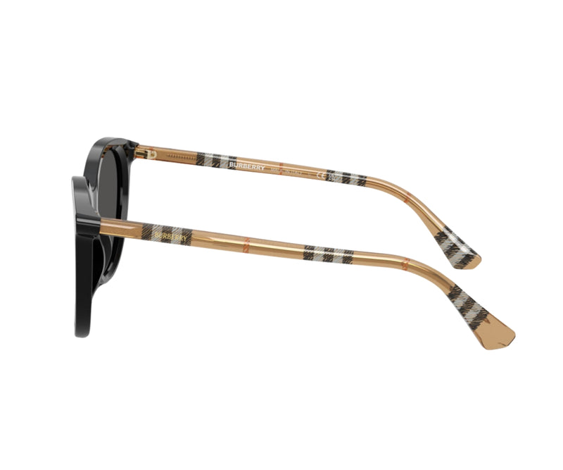 Burberry_Sunglasses_4455_4161/87_55_90