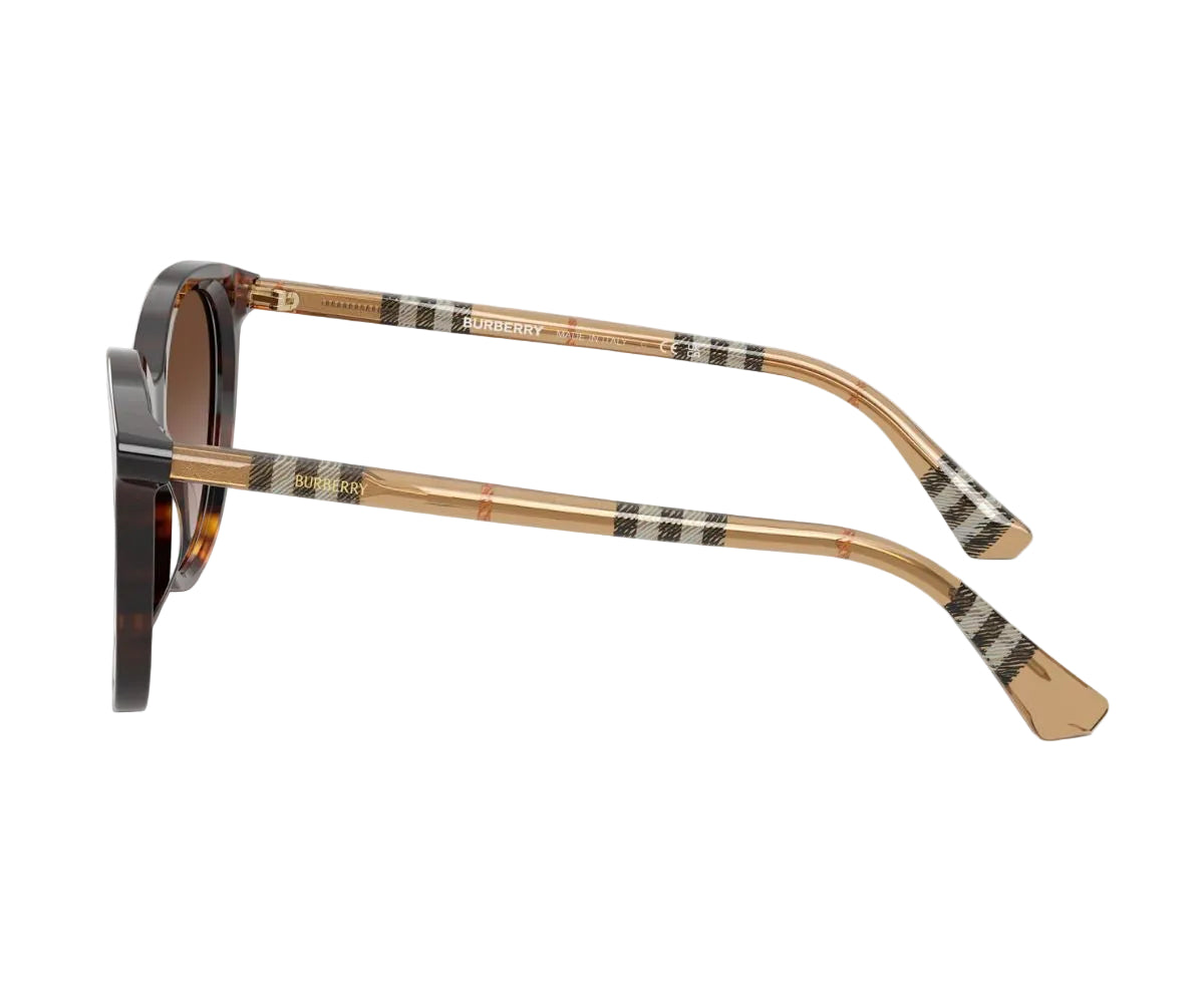 Burberry_Sunglasses_4455_4216/13_55_90