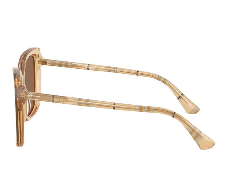 Burberry_Sunglasses_4456_4167/73_54_90
