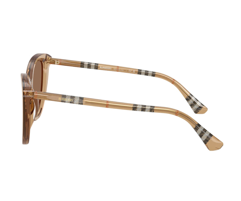 Burberry_Sunglasses_4457_4164/73_55_90
