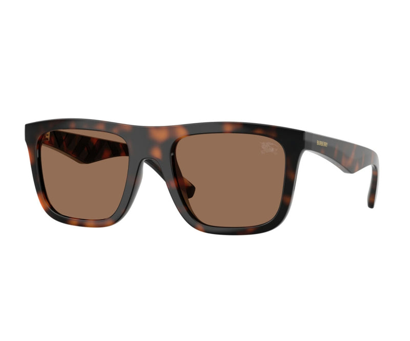 Burberry_Sunglasses_4458U_3002/73_55_3045