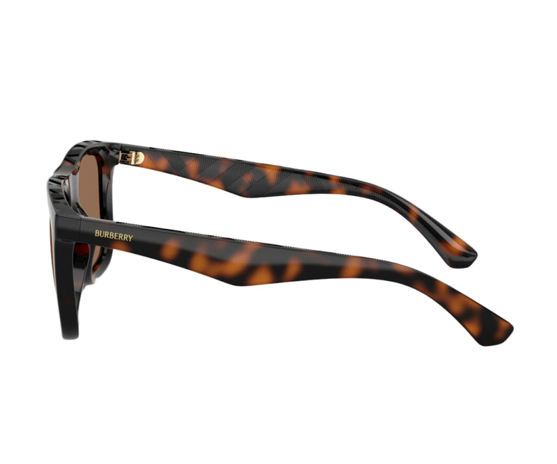 Burberry_Sunglasses_4458U_3002/73_55_90