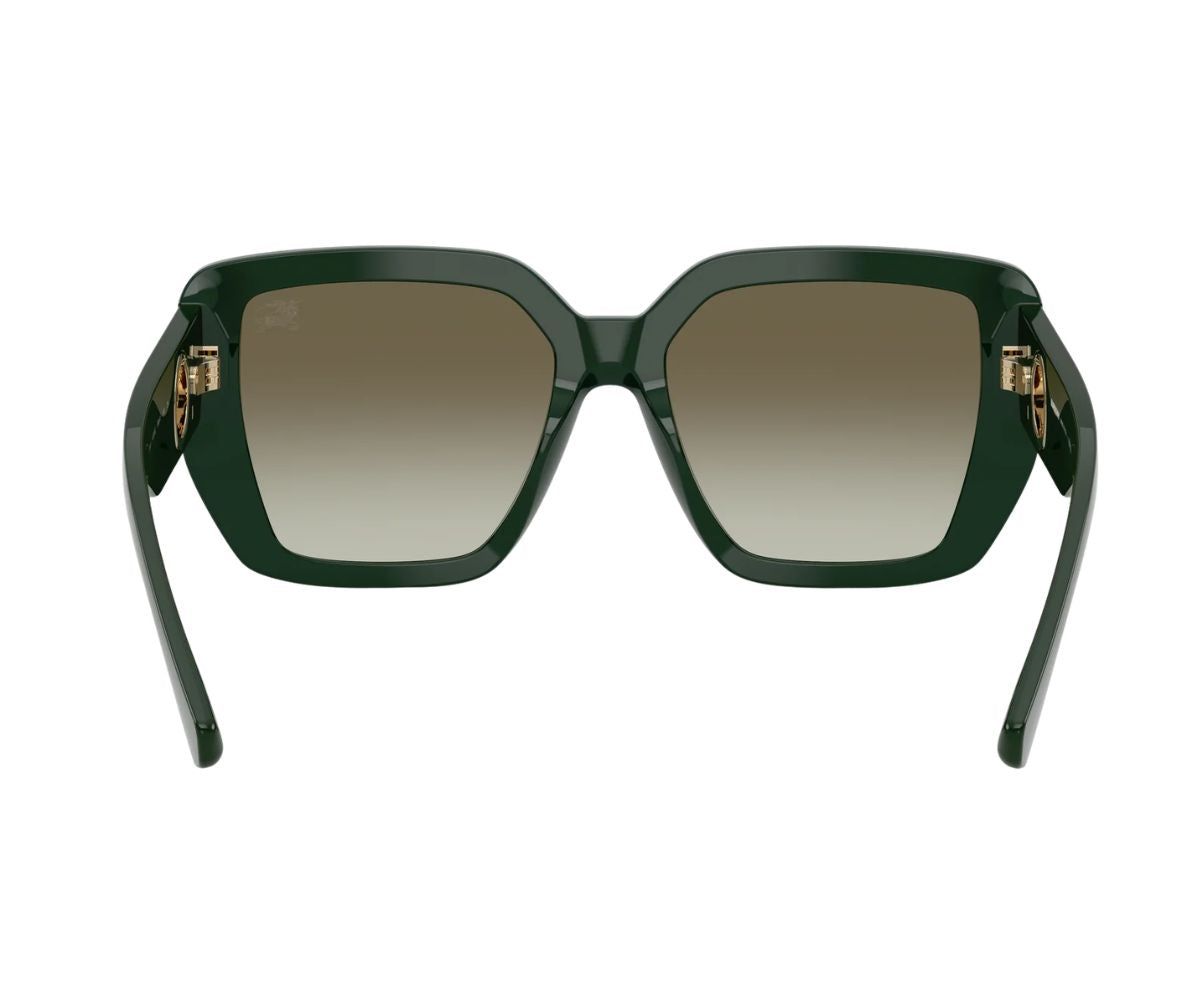 Burberry_Sunglasses_4471_4203/8E_54_back lens