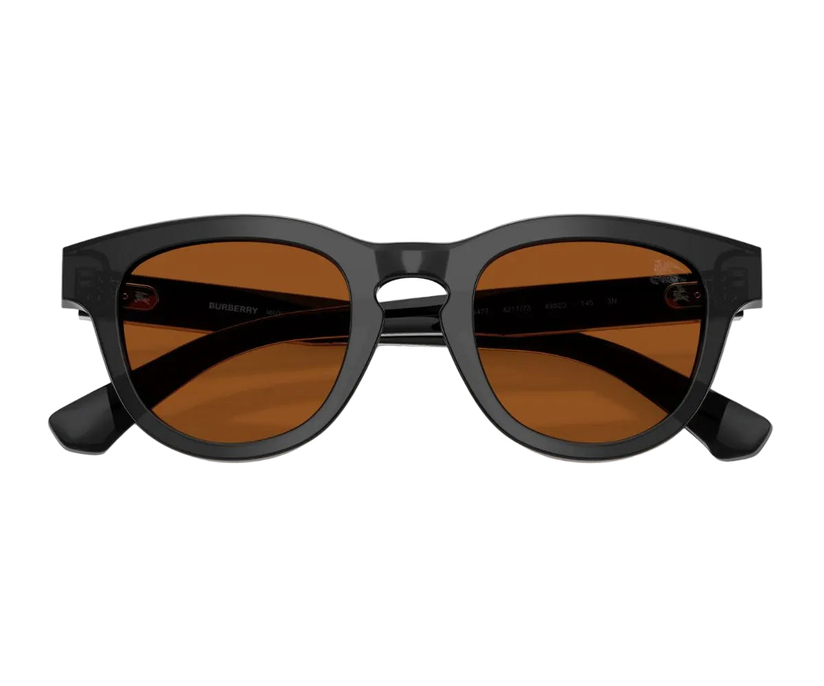 Burberry_Sunglasses_4477_4211/73_48_front look