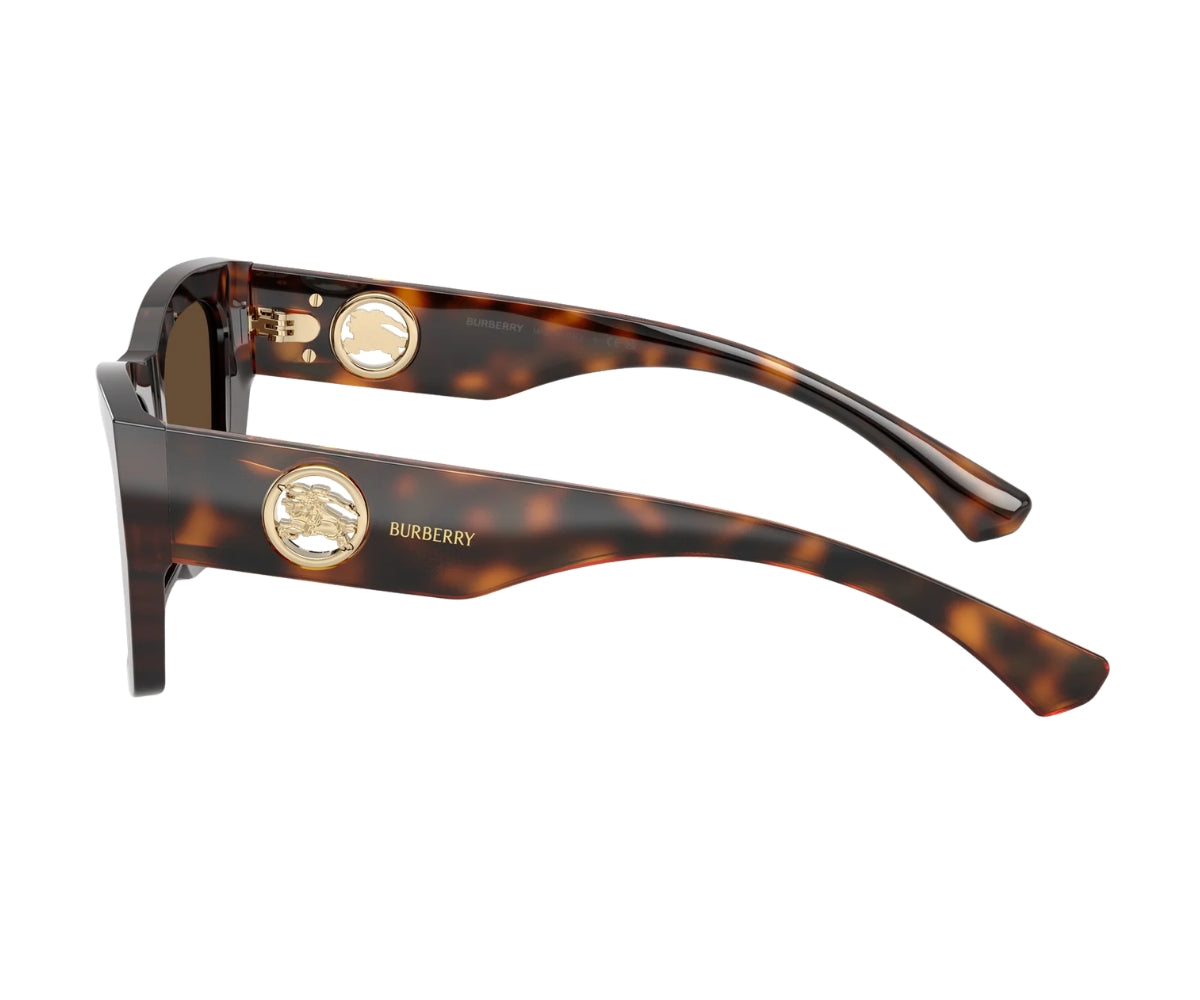 Burberry_Sunglasses_4492_3002/73_54_90