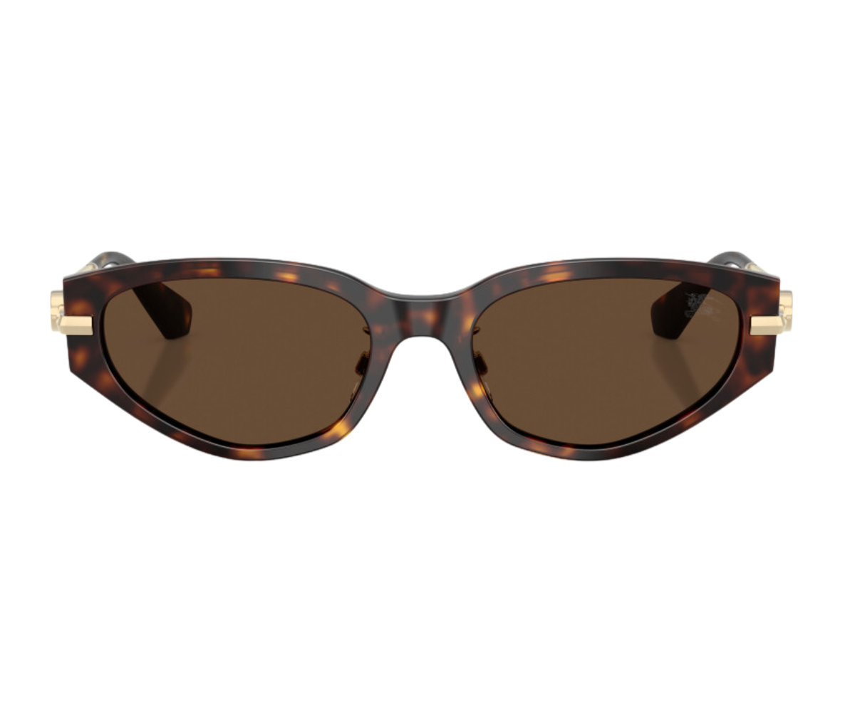 Burberry_Sunglasses_BE4493D_3002/73_56_00
