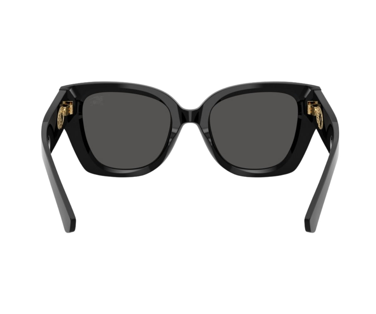 Burberry_Sunglasses_BE4503_3001/87_50_back 