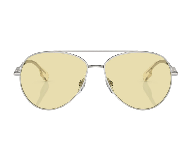 Burberry_Sunglasses_3147_1005/M4_58_0